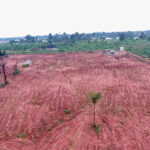DJI_0282