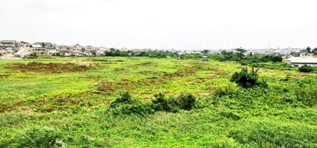 WhatsApp Image 2025-11-09 at 4.39.28 PM