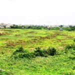 WhatsApp Image 2025-11-09 at 4.39.28 PM